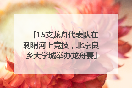 15支龙舟代表队在刺猬河上竞技，北京良乡大学城举办龙舟赛