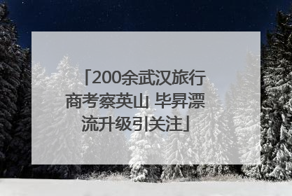 200余武汉旅行商考察英山 毕昇漂流升级引关注