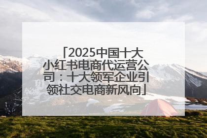 2025中国十大小红书电商代运营公司：十大领军企业引领社交电商新风向