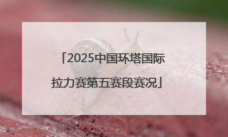 2025中国环塔国际拉力赛第五赛段赛况