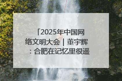 2025年中国网络文明大会｜董宇辉：合肥在记忆里很遥远也很亲切