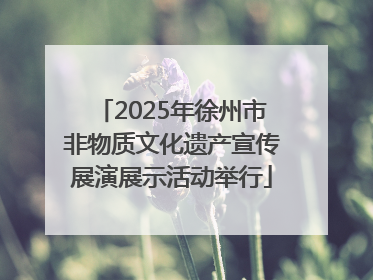2025年徐州市非物质文化遗产宣传展演展示活动举行