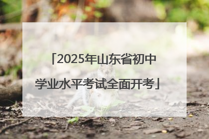 2025年山东省初中学业水平考试全面开考