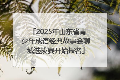 2025年山东省青少年成语经典故事会聊城选拔赛开始报名