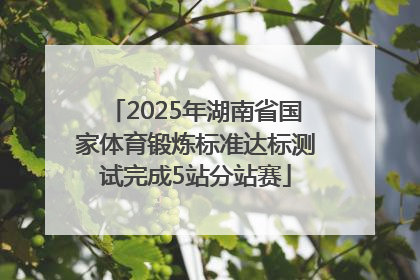 2025年湖南省国家体育锻炼标准达标测试完成5站分站赛