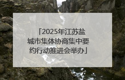 2025年江苏盐城市集体协商集中要约行动推进会举办