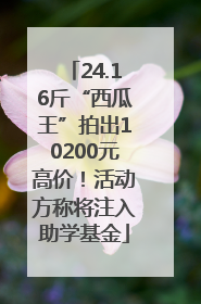 24.16斤“西瓜王”拍出10200元高价！活动方称将注入助学基金