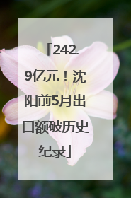 242.9亿元！沈阳前5月出口额破历史纪录
