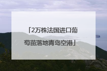 2万株法国进口葡萄苗落地青岛空港