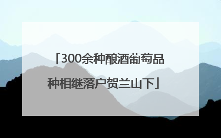 300余种酿酒葡萄品种相继落户贺兰山下
