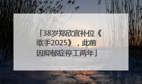 38岁郑欣宜补位《歌手2025》，此前因抑郁症停工两年