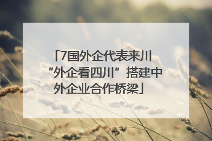7国外企代表来川 “外企看四川”搭建中外企业合作桥梁