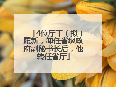4位厅干（拟）履新，卸任省级政府副秘书长后，他转任省厅