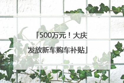 500万元！大庆发放新车购车补贴