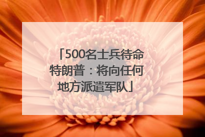 500名士兵待命 特朗普：将向任何地方派遣军队