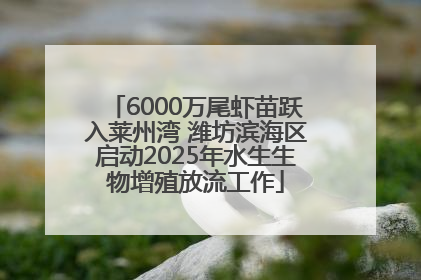 6000万尾虾苗跃入莱州湾 潍坊滨海区启动2025年水生生物增殖放流工作