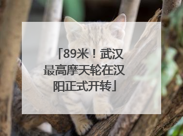 89米！武汉最高摩天轮在汉阳正式开转