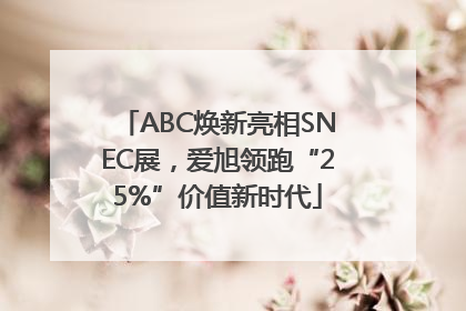 ABC焕新亮相SNEC展，爱旭领跑“25%”价值新时代