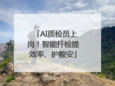 AI质检员上岗！智能扦检提效率、护粮安