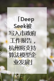DeepSeek被写入市政府工作报告，杭州将支持算法模型企业发展