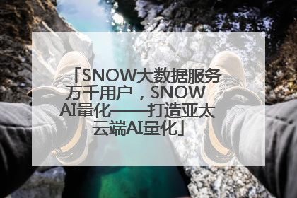 SNOW大数据服务万千用户，SNOW AI量化——打造亚太云端AI量化