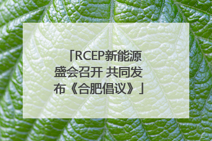 RCEP新能源盛会召开 共同发布《合肥倡议》