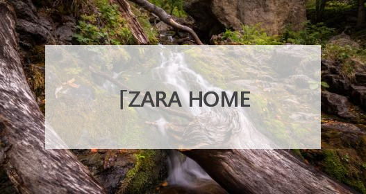 ZARA HOME将撤出长沙 本土品牌以高性价比抢占市场